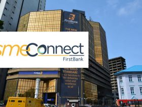 FIRSTBANK'S SMECONNECT PORTAL COULD BE THE DIFFERENTIATOR FOR SME IN NIGERIA