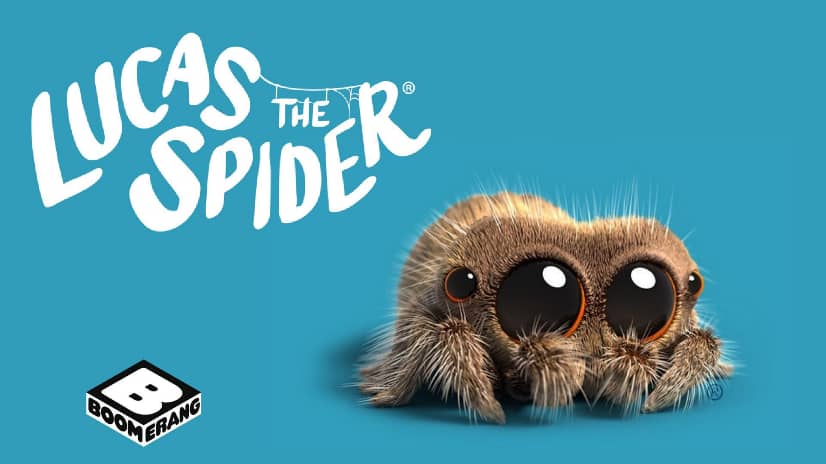 Web Phenomenon Lucas the Spider is Coming to Boomerang Africa!