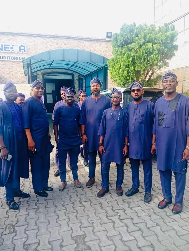 Lions Dayo, Mustapha, Ayodeji, Luca, Gerald, Chisom and Ibrahim